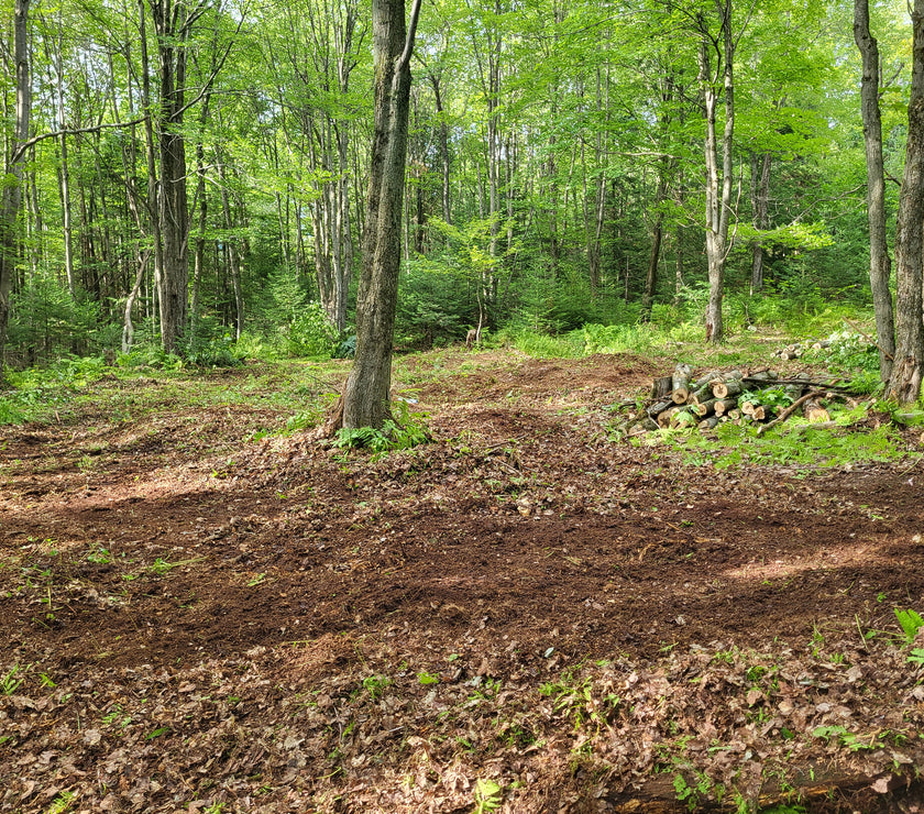 No till foodplot
