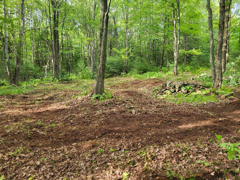 No till foodplot